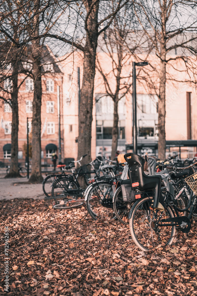 Bicycles in Denmark