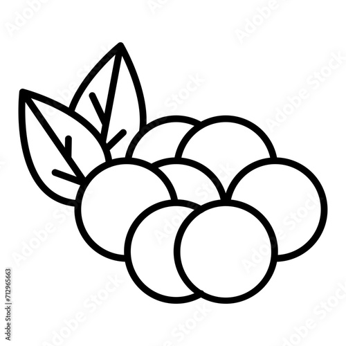   Cranberries line icon