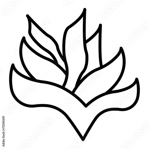   Kelp line icon