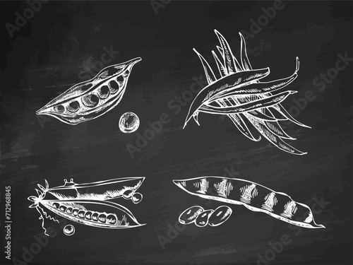 A hand-drawn set of green peas and string beans  in sketch style. Vector vegetables on chalkboard background. Vintage doodle illustration. Sketch for cafe menus and labels. Harvesting.