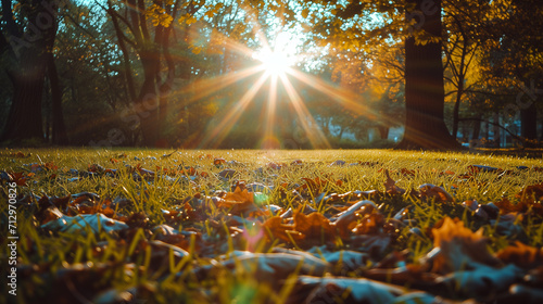 Ein Herbsttag mit Laub auf einer Wiese mit ein paar B  umen und Sonnenschein