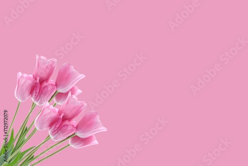 romantic valentine concept Top view photo with tulips on a pink background.