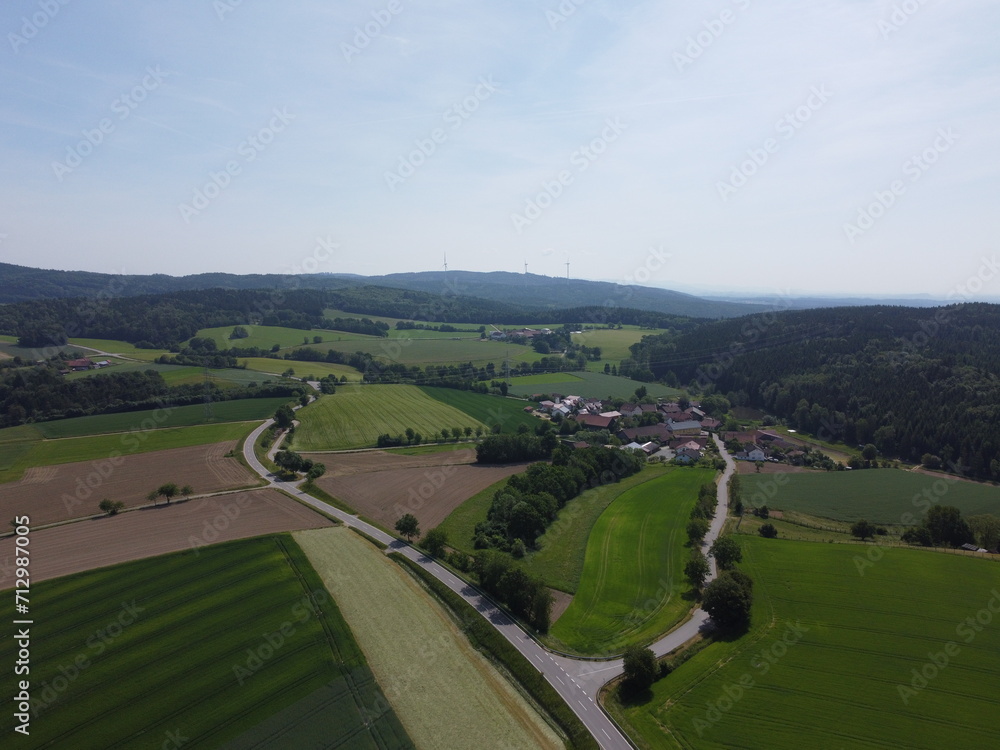 Aerial view of the forest and meadows and fields