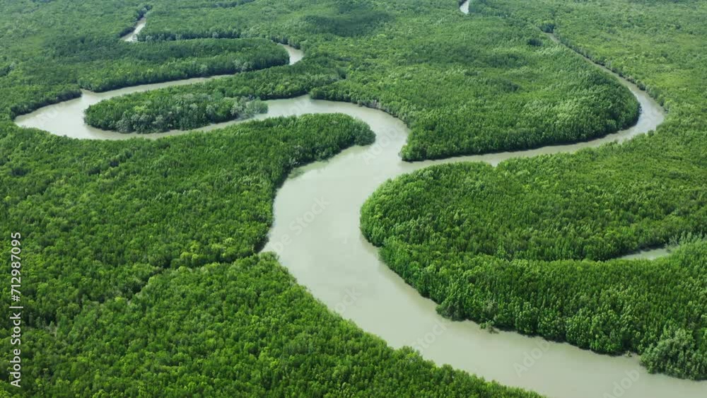 Aerial landscape of a sustainable sea mangrove forest.