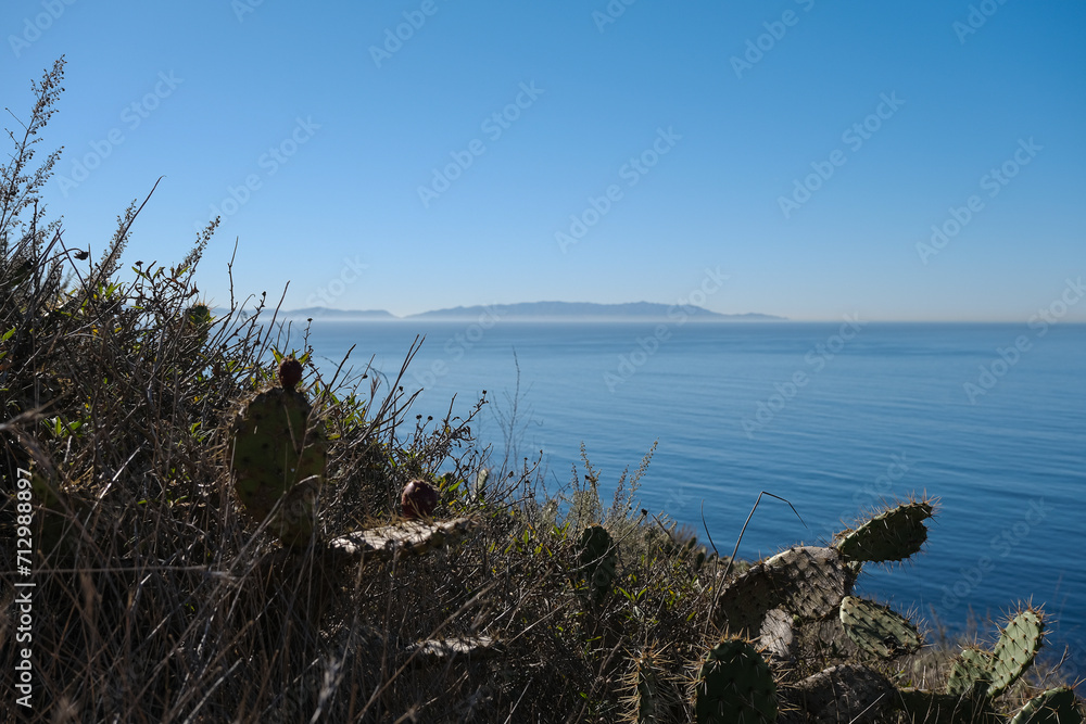 Breathtaking scenic and landscape view of coastline of Rancho Palos Verdes with vegetation and cliffs and beautiful bays overlooking ocean and coast in California on sunny blue sky day