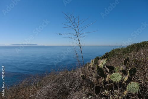 Breathtaking scenic and landscape view of coastline of Rancho Palos Verdes with vegetation and cliffs and beautiful bays overlooking ocean and coast in California on sunny blue sky day © Tamme