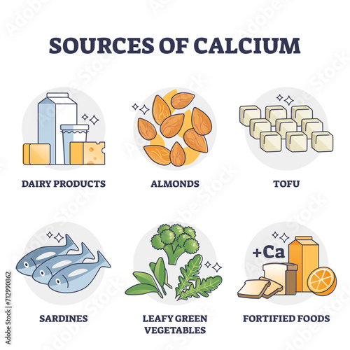 Sources of calcium and natural rich Ca level food products outline diagram, transparent background. Labeled educational list with ingredients for healthy eating illustration. Dairy, tofu and greens.