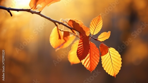 Autumn leaf fall of golden leaves illuminated AI Generated image