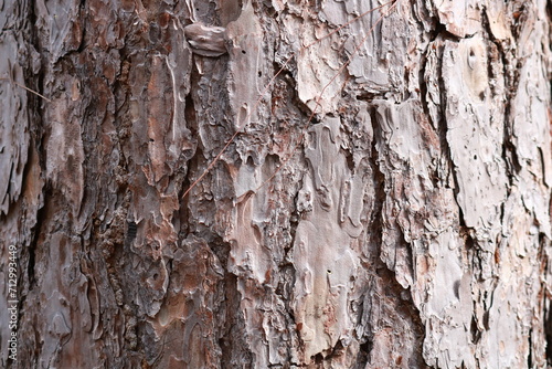 texture
