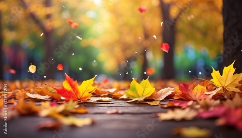 Colorful leaves falling from maple trees photo