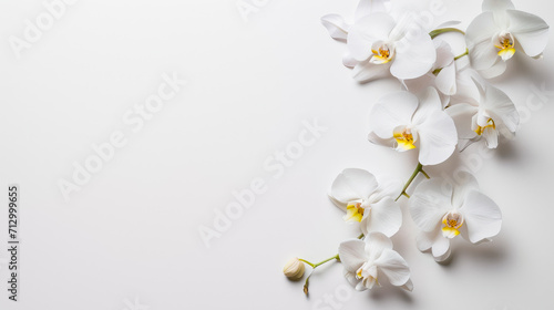 Invitation mockup with white orchid flowers.