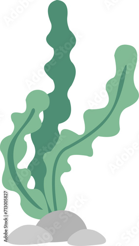 Flat Seawed Illustration