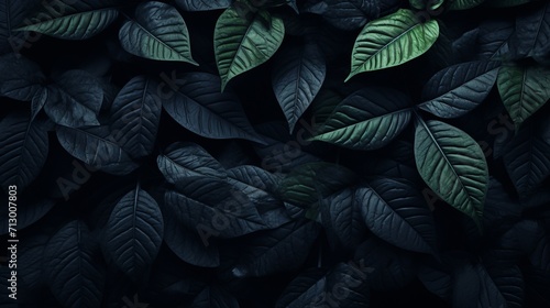 Abstract black tropical leaves texture for dark nature background with copy space.