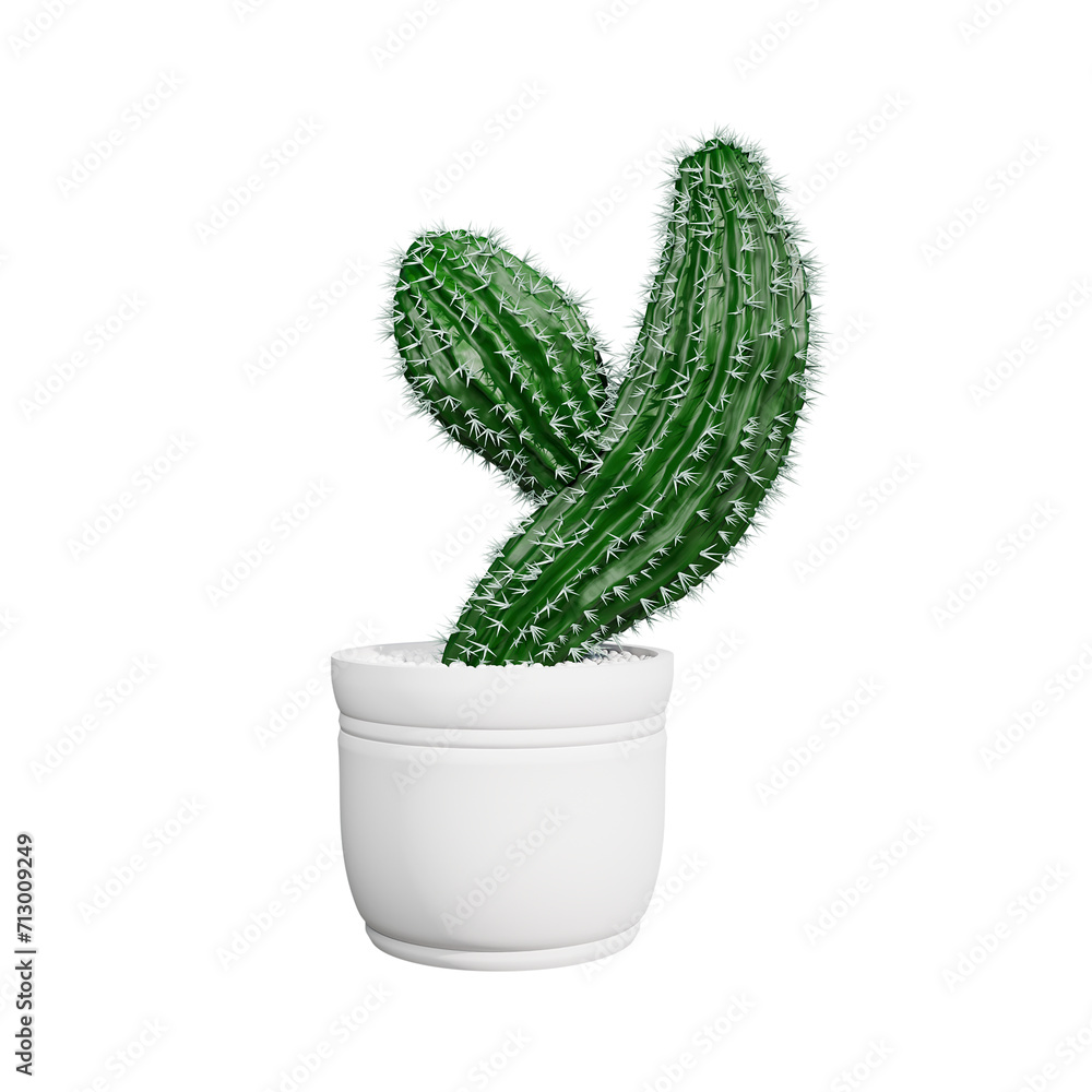 Vibrant green cactus plant and aloe vera transparent background Vibrant green cactus plant and aloe vera transparent background