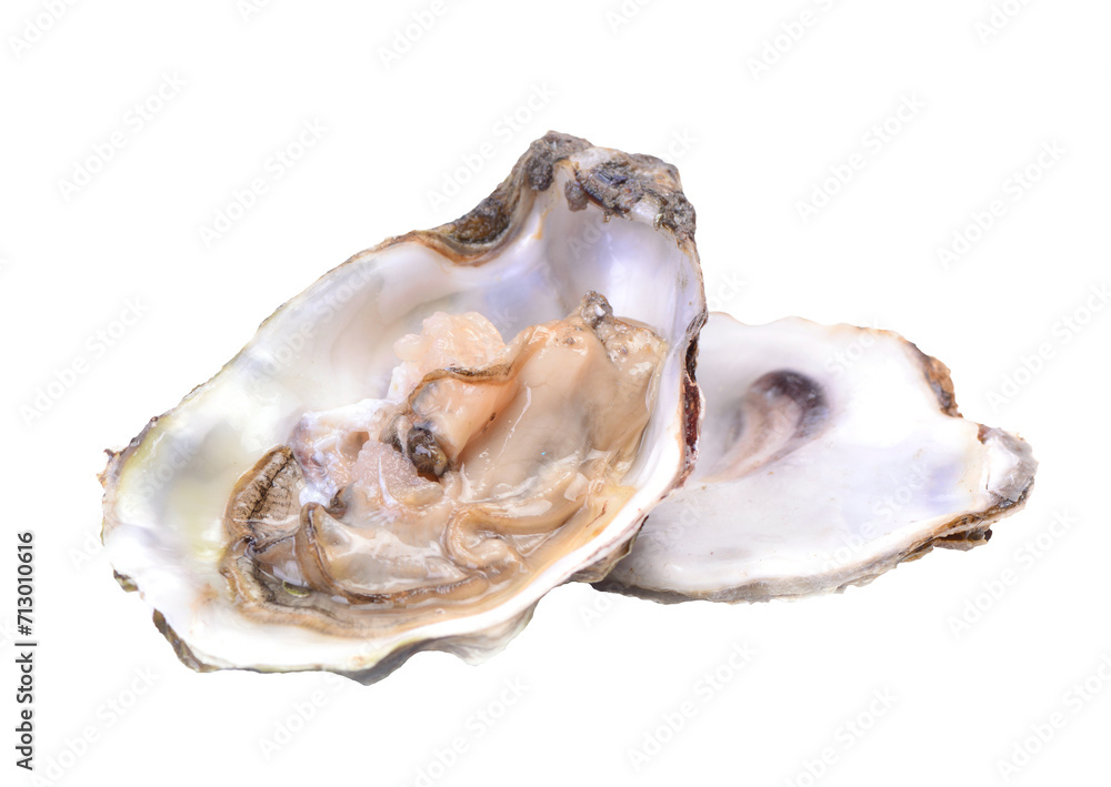 Fresh oyster isolated on white Fresh oyster isolated on white