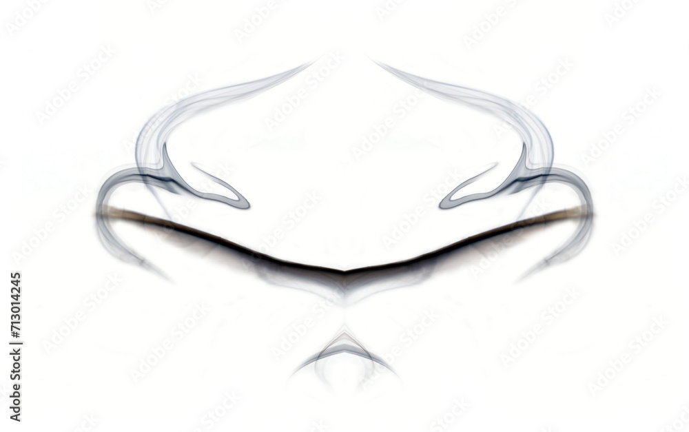 the lady from shanghai, Symmetrical abstract photography of shapes acquired by smoke on a white background. the lady from shanghai, Symmetrical abstract photography of shapes acquired by smoke on a white background.