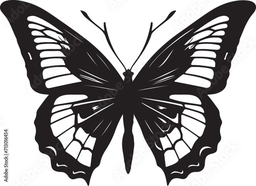 vector butterfly 