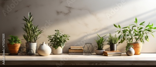 stylish ceramic vase with a flower on a shelf near a gray wall, hard sunlight,