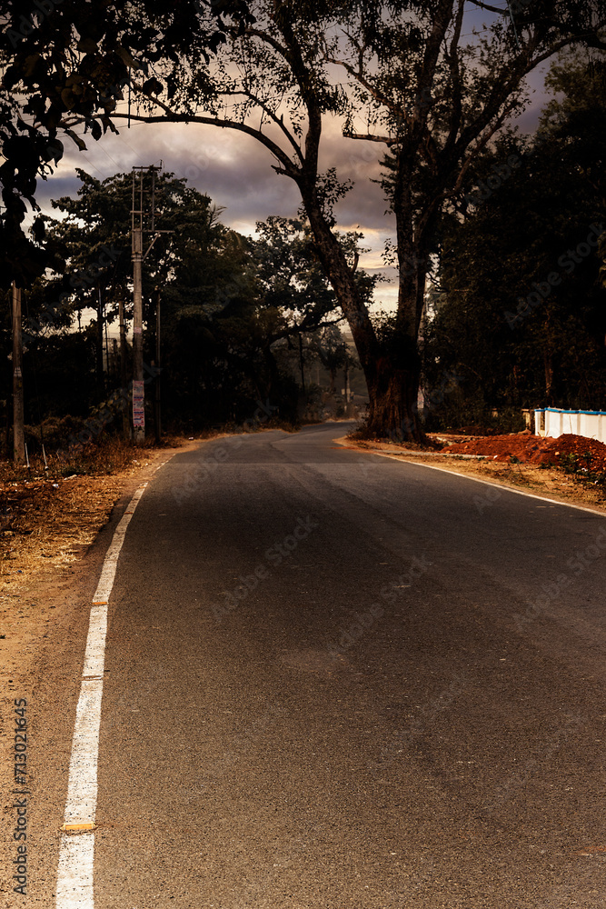 Fototapeta premium Rows of trees along the road and the sky covered with thick black rain clouds