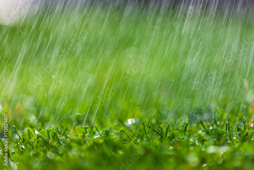 A spray of water drops over a green lawn.