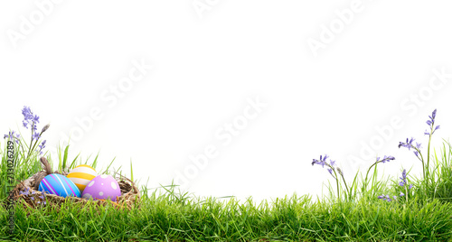 A blank template of three painted easter eggs in a birds nest celebrating a Happy Easter on green grass and isolated on transparent background.	