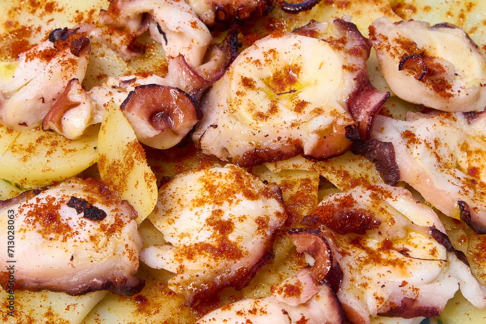 Grilled squid with potatoes on a plate on a white background