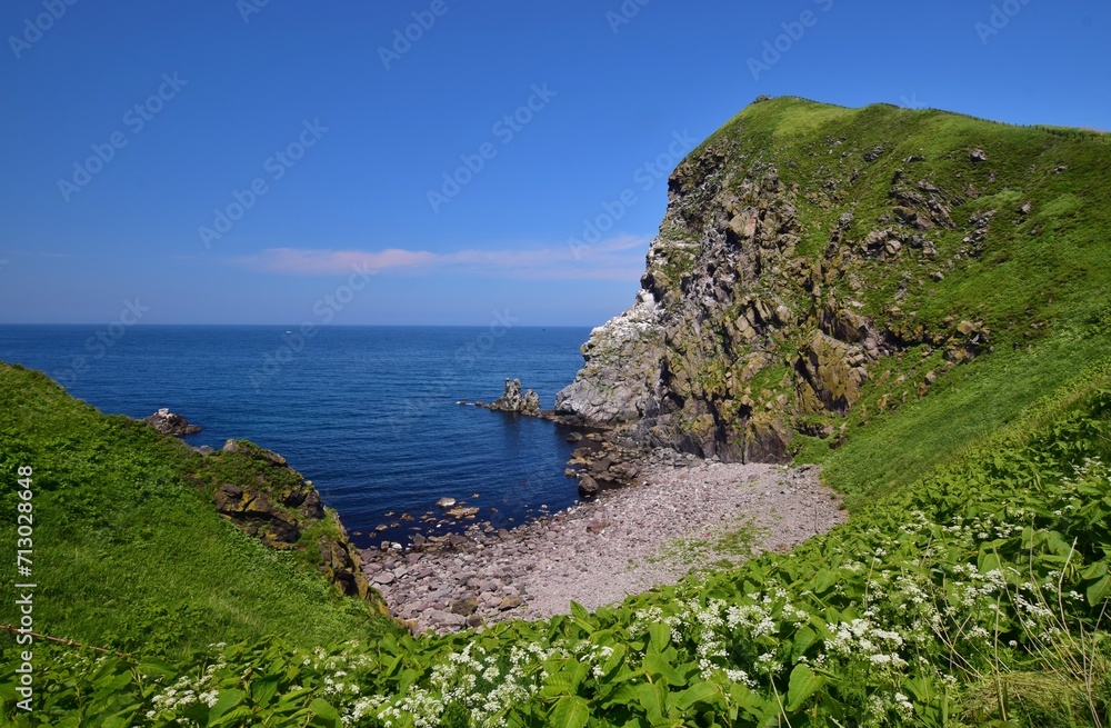 Fototapeta premium 利尻島の夏景色