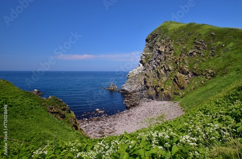 利尻島の夏景色