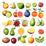 Clipart Bundle Watercolor Fruits element Object