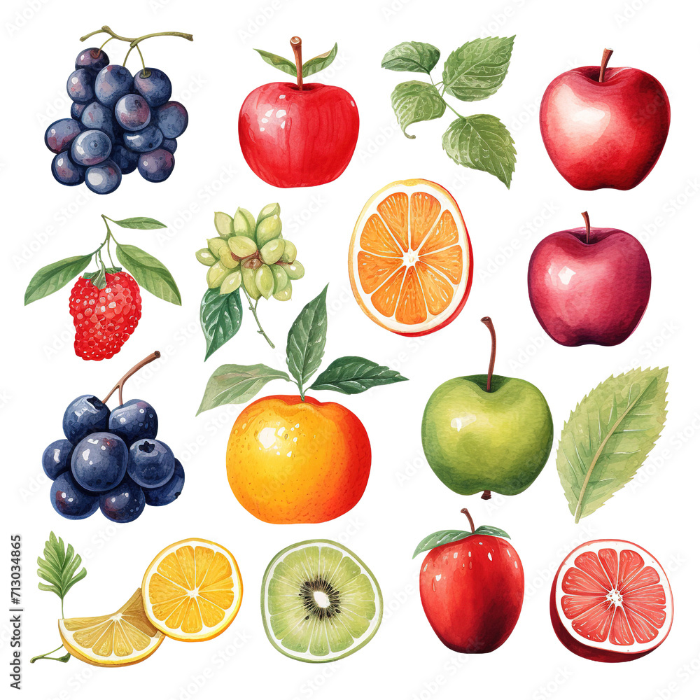 Clipart Bundle Watercolor Fruits element Object Clipart Bundle Watercolor Fruits element Object