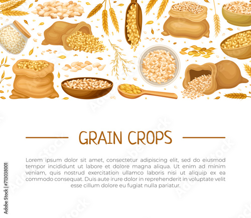 Grain Cereal Banner Design with Natural Crop Harvest Vector Template