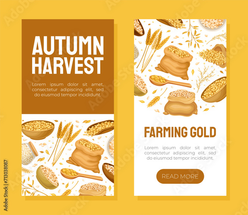 Grain Cereal Banner Design with Natural Crop Harvest Vector Template