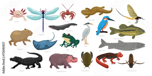 Different types of Freshwater Animals set cartoon collection, various seawater environment animals wildlife, vector illustration, suitable for education poster infographic guide catalog flat