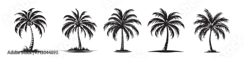 set of palm trees silhouette realistic vector