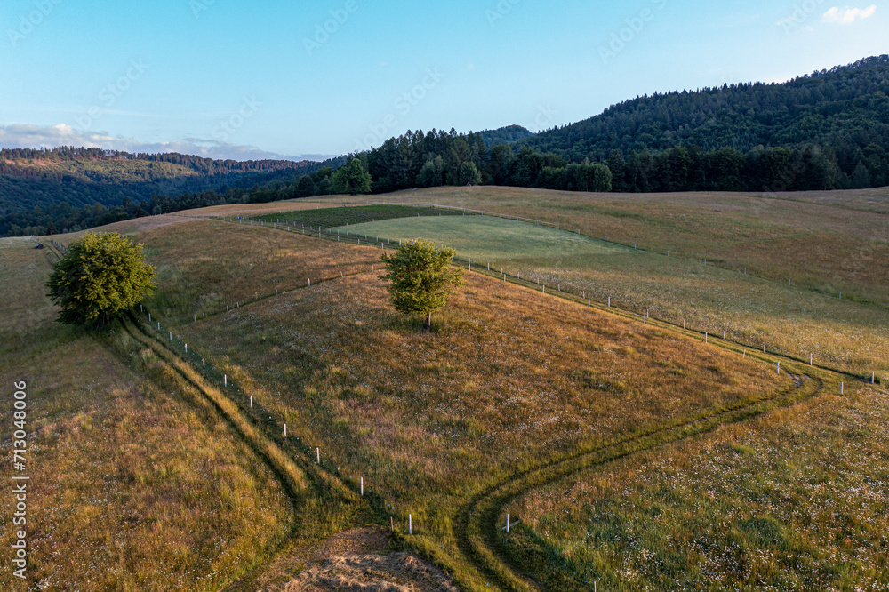Naklejka premium Mały domek 