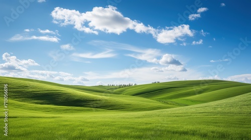 a field of green grass under a blue sky, Nature Landscape with Lush Greenery. © Mas