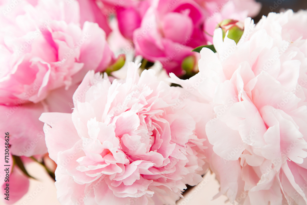 Peonies in bloom