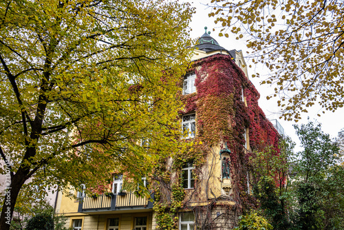 Adalbert street at Munich in fall with trees, colorful leaves, parked cars and cyclists photo