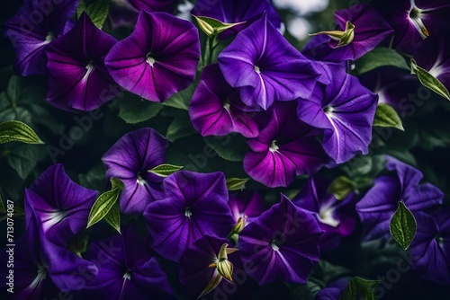 purple flowers in the garden © azka