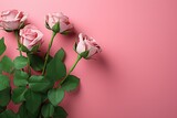 Beautiful pink roses on pink background, top view. Space for text
