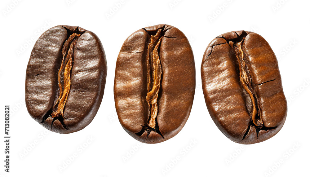 Fototapeta premium Coffee beans isolated on a transparent background. 3d rendering