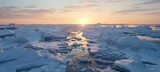 Melting arctic ice sheets  global warming, climate change, and ecological impact.