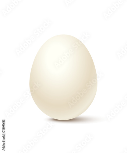 Chicken white egg realistic vector illustration isolated on background. Natural ecological product. Easter symbol. Organic protein food ingredient for cooking, raw product of poultry farm