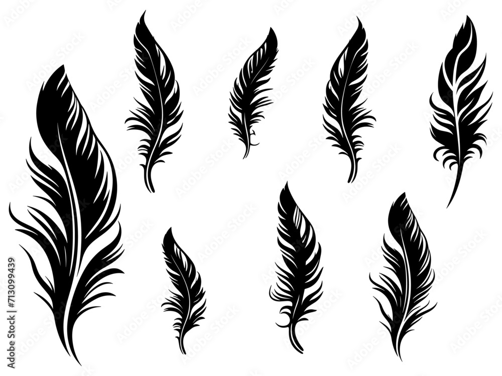 Set of detailed majestic feather collection. Bird Feather black silhouettes. Plumelet collection. Vector isolated on white Set of detailed majestic feather collection. Bird Feather black silhouettes. Plumelet collection. Vector isolated on white