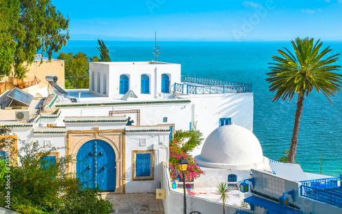 Sidi Bou Said, a famous village with traditional white and blue Tunisian architecture, Tunisia.