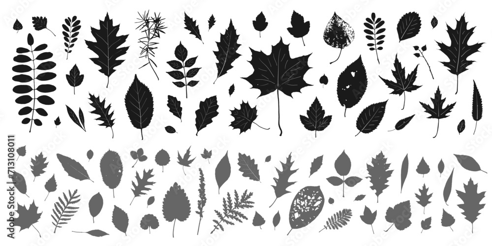 silhouette leaves set autumn background ,isolated vector design elements - obrazy, fototapety, plakaty 