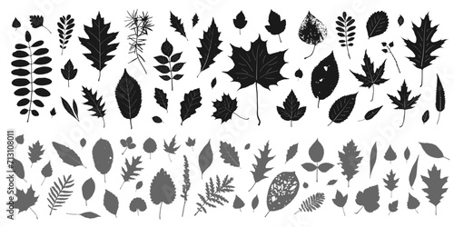 silhouette leaves set autumn background ,isolated vector design elements