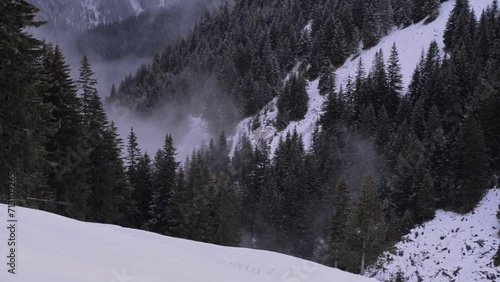 Clouds of fog rising gently above the fir forest in the mountain ridges in winter