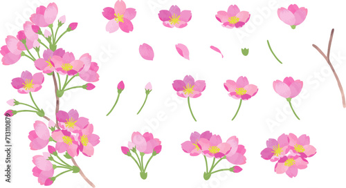 Wallpaper Mural 桜のパーツセット2 Torontodigital.ca