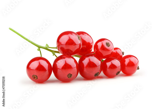 Red currant